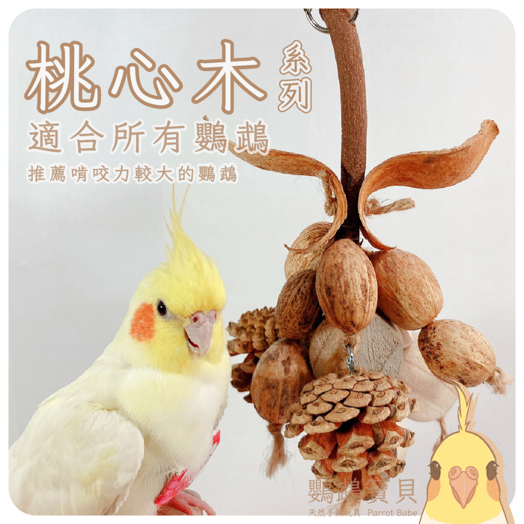 鸚鵡玩具 當天寄出 台灣製造 天然原木 天然果材 鳥玩具 鸚鵡啃咬串 耐啃咬玩具松果 木芒果 桃花心木 和尚 凱克 灰鸚