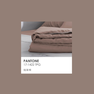 天絲™40支－焙茶棕 | AnDHouse 50%萊賽爾纖維 床包 枕套 被套