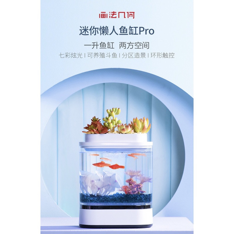 （二手）小米有品 畫法幾合 迷你懶人魚 缸自帶氧氣泵 水族箱 魚缸