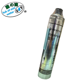 【富洺淨水】 EVERPURE BH2 濾芯