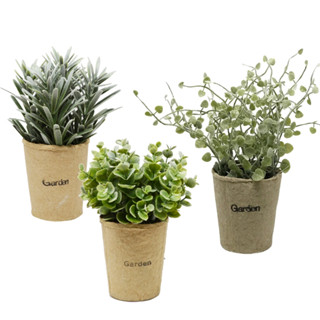 【YU Living】迷你模擬小清新綠色植物裝飾盆栽 芙蓉菊 金錢木 愛之蔓人造盆栽(綠色) [折扣碼現折]