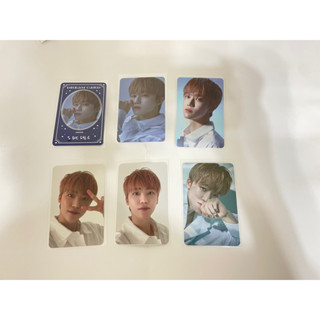 NCT DREAM STARRY DAYDREAM 隨機小卡