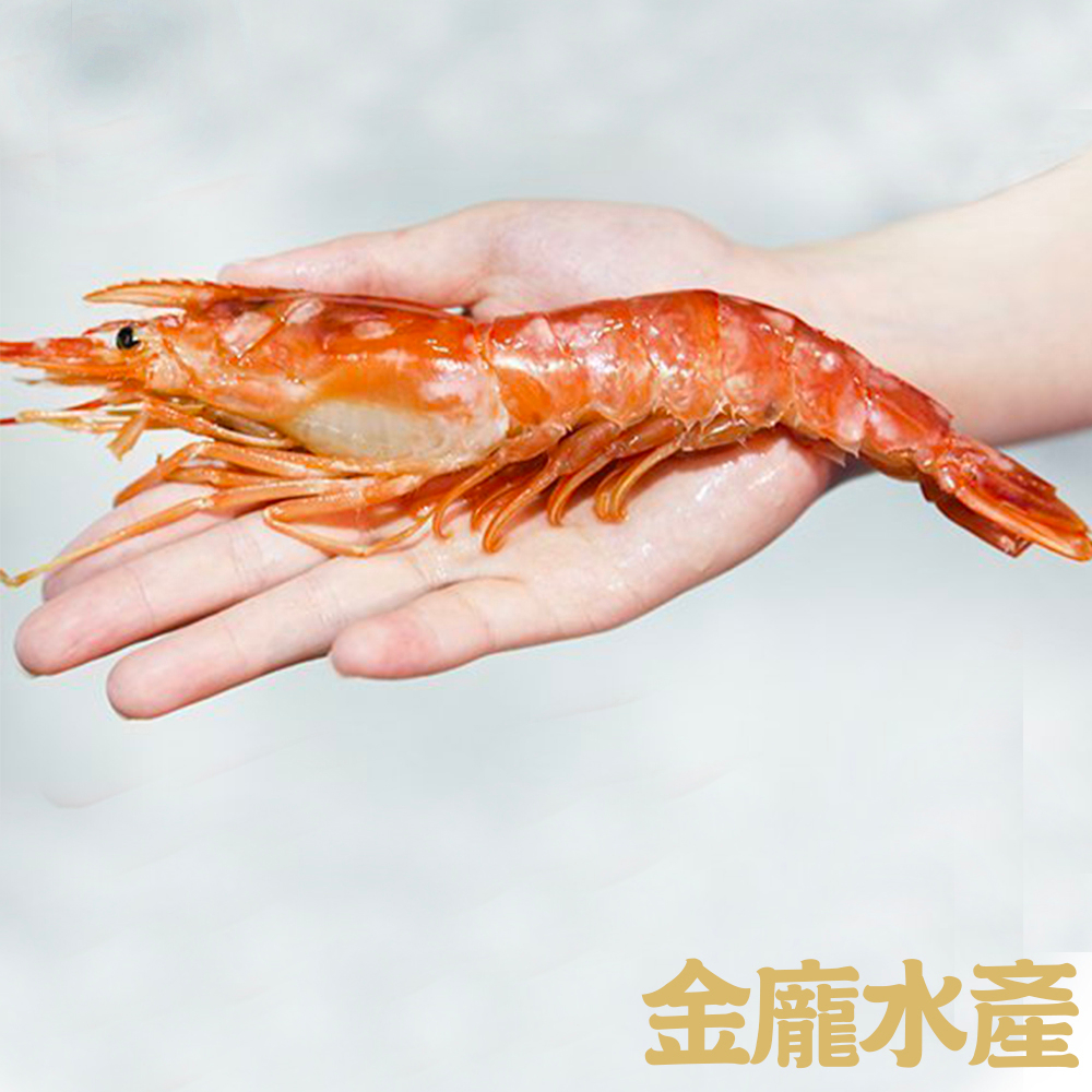 L1船凍天使紅蝦10/20【金龐水產海鮮批發】C001 餐廳 團爸 團媽 團購