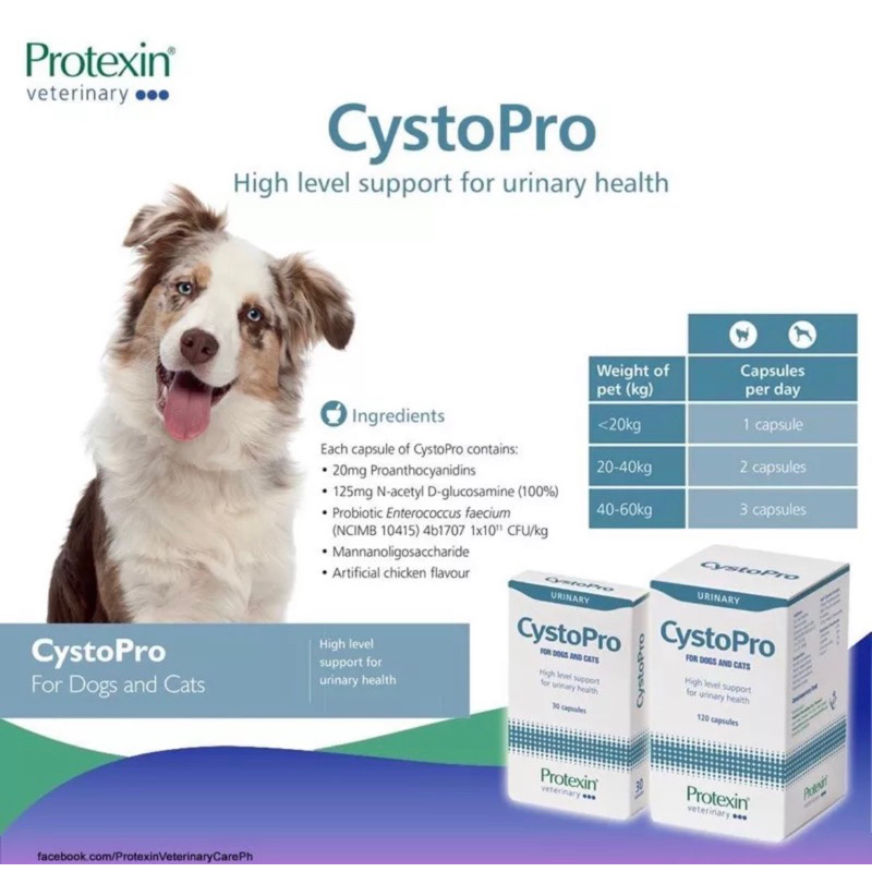 《 Protexin Cystopro  》蔓泌利 30顆 無盒