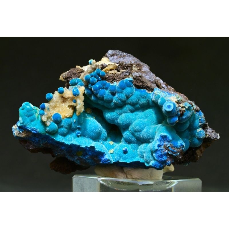絕美 精品 藍矽銅礦 shattuckite 納米比亞 稀有 礦物 斜硅銅