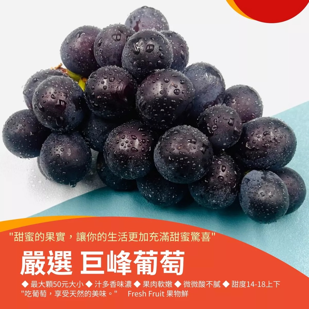【果物鮮】台灣巨峰葡萄 (實體店面進口國產新鮮水果 安全放心)