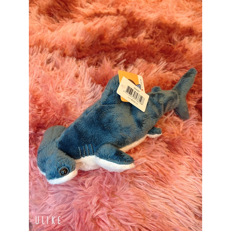 斧頭鯊魚娃娃～可愛的鎚頭鯊