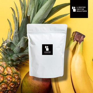 [接單烘焙] 巴拿馬 哈特曼莊園 卡杜拉 日曬 咖啡豆 濾掛【Lighter Coffee】