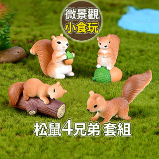 【草葉日和】盆栽裝飾 花盆 松鼠4兄弟 魚缸造景 魚缸 松鼠 辦公室小物 肉植物 微景觀