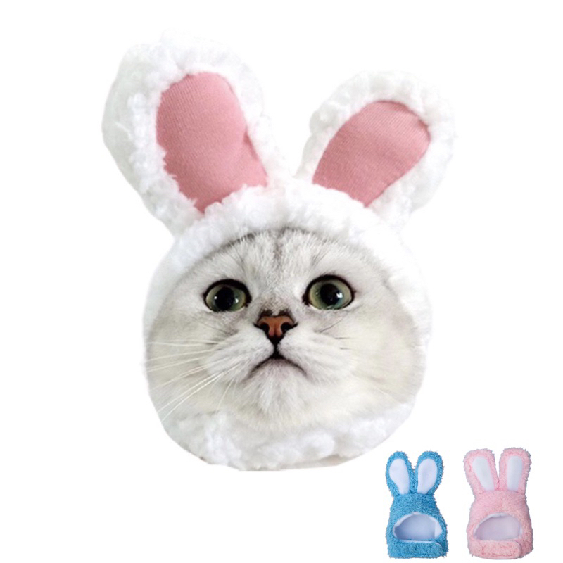 【尋寵】現貨 可愛 兔子頭套 兔子耳朵頭套 兔耳 保暖頭套 寵物帽 頭套 寵物配件 貓咪 狗 兔子 寵物 變身裝 貓衣服