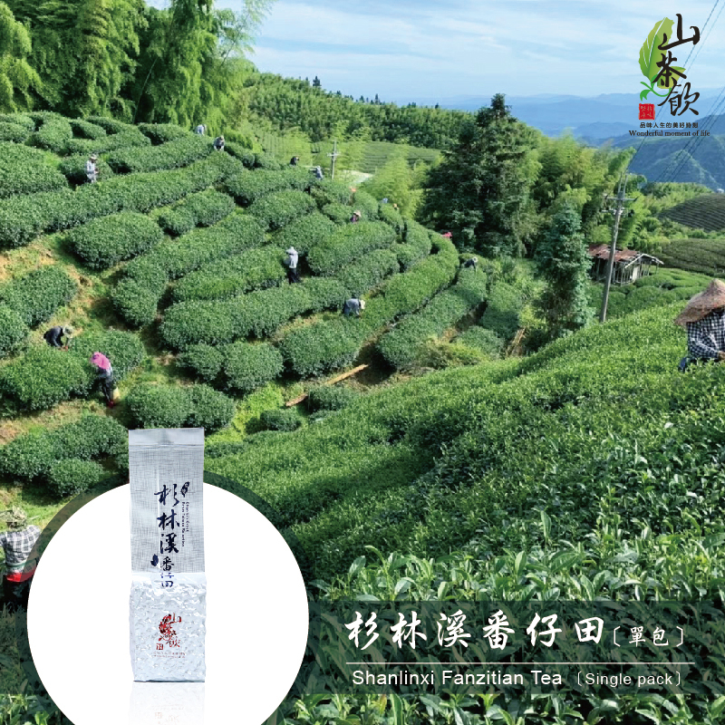 【山茶飲】❄️2024冬茶❄️杉林溪番仔田 茶廠 150g一包 高山茶 / 茶葉 / 烏龍茶 / 台灣茶