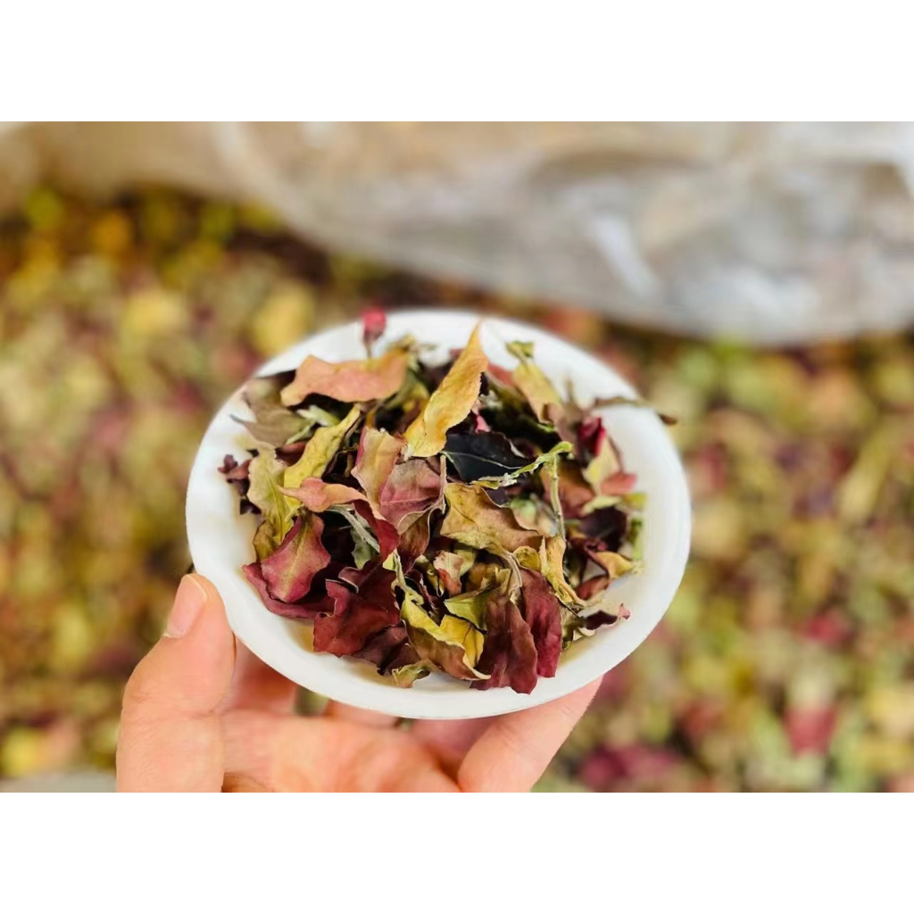 預售2023野生紫白：稀有野生紫芽白茶，500g