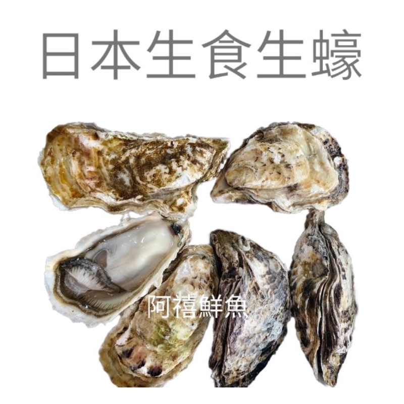 板橋阿禧鮮魚行｜日本｜生蠔｜生食｜燒烤｜全殼