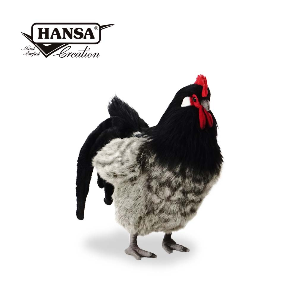 Hansa 6037-阿爾薩斯母雞34公分