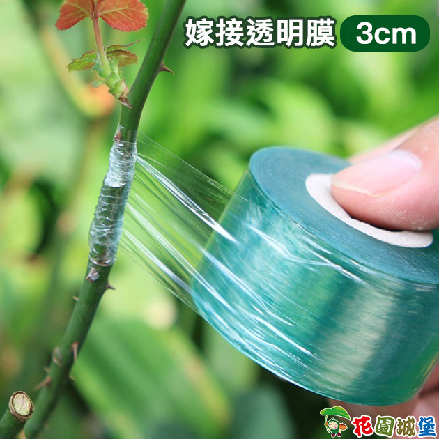 現貨-嫁接透明膜 3cm寬 嫁接膜 果樹 PVC 纏繞膜 嫁接專用 塑料薄膜 自粘嫁接  剪刀 透明拉伸膜 保温膜