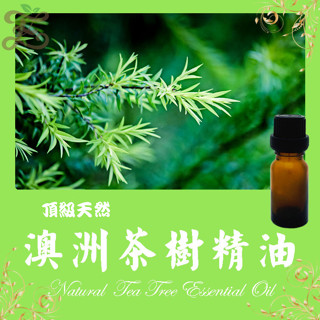 澳洲茶樹精油 頂級天然單方精油 草本提煉精華 茶樹精油 Tea Tree