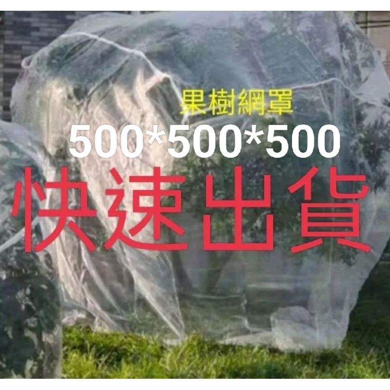 500*500*500立體網罩40目附拉鏈果樹網罩 簡易網室白色防蟲網防鳥網防風網果樹網 綠彩青田