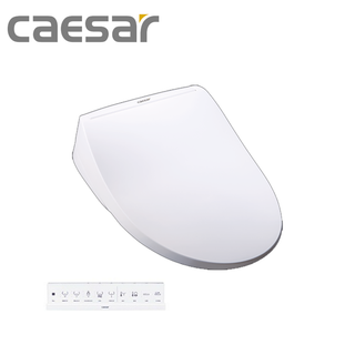 【CAESAR 凱撒衛浴】商城配合蝦皮券回饋現金10%瞬熱式電腦馬桶座、烘乾、脫臭、無線遙控、不鏽鋼噴嘴(TAF220)