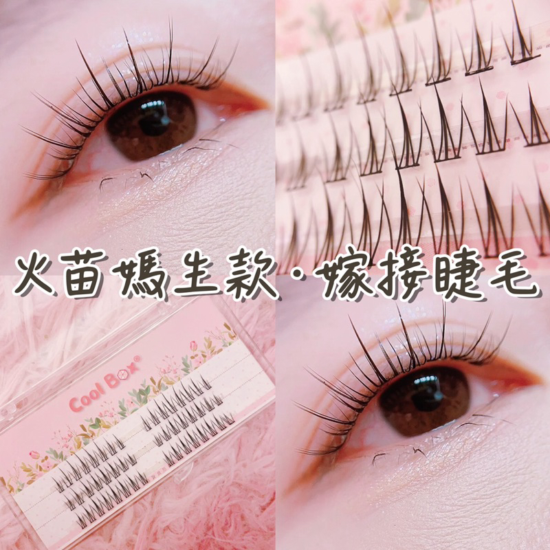 現貨✨睫毛膏效果｜黑色 棕色｜黑梗｜透明梗｜韓妞淡妝 媽生｜ 小火苗 娃娃款｜自然日常｜新手適用｜自嫁接 假睫毛