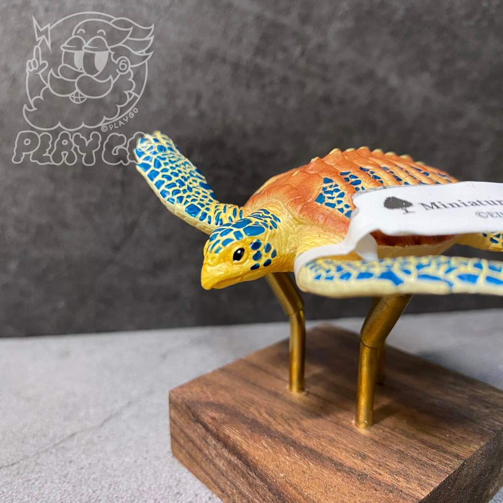 現貨 日本 品牌 Miniatureplanet  古巨龜 帝龜 古海龜 滅絕古生物系列 公仔 _盤古PLAY GO