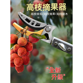 摘水果神器 伸縮桿高枝剪高空剪刀 採摘枇杷楊梅杏荔枝龍眼桃摘果器