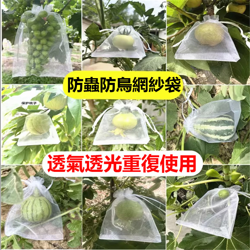 水果防蟲袋 防蟲網 套袋 網袋 水果套袋 防蟲網袋 防蟲網罩 芭樂套袋 防鳥網袋 透氣 水果防蟲網袋 果蠅 育苗袋 包裹