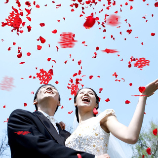 [彩虹派對屋]婚禮 花童 仿真玫瑰花瓣 100片入 灑花 求婚 告白 裝飾 玫瑰花瓣 場地佈置