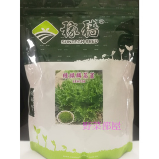 【萌田種子~蔬菜種子】B51 綠麒麟萵苣種子0.6公克 , 葉形特殊 , 脆 , 口味佳 , 每包16元~