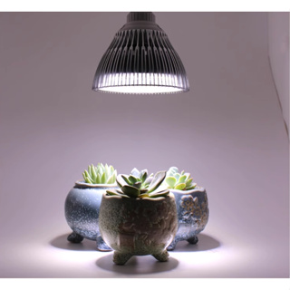 全光谱LED植物燈 孵孢/育苗/成長 室內植物補光 9W/18W 防止徒長/促進生長 E27 LED燈泡