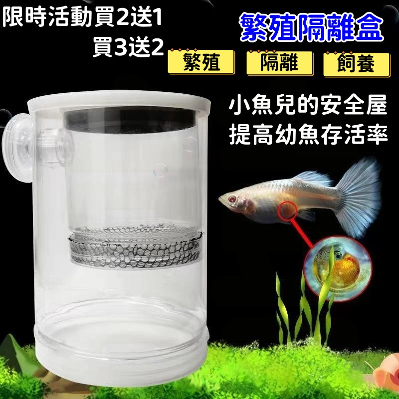 桃園 --【買二送一】繁殖杯🐟隔離杯 仔魚產房小型魚適用 孔雀魚繁殖盒 隔離盒 產房 仔魚 隔離箱 鬥魚 小魚產房