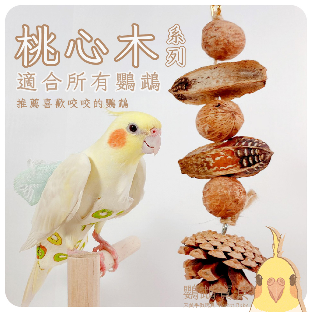 鸚鵡玩具 當天寄 台灣製 鳥用品 鳥玩具 鸚鵡啃咬串 耐啃咬玩具 天然玩具 松果 桃花心木 和尚 凱克 灰鸚