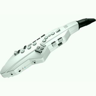 有貨2023最新推出新品] Roland Aerophone GO AE-05C 電吹管 新增亞洲傳統樂器音色附原廠新品