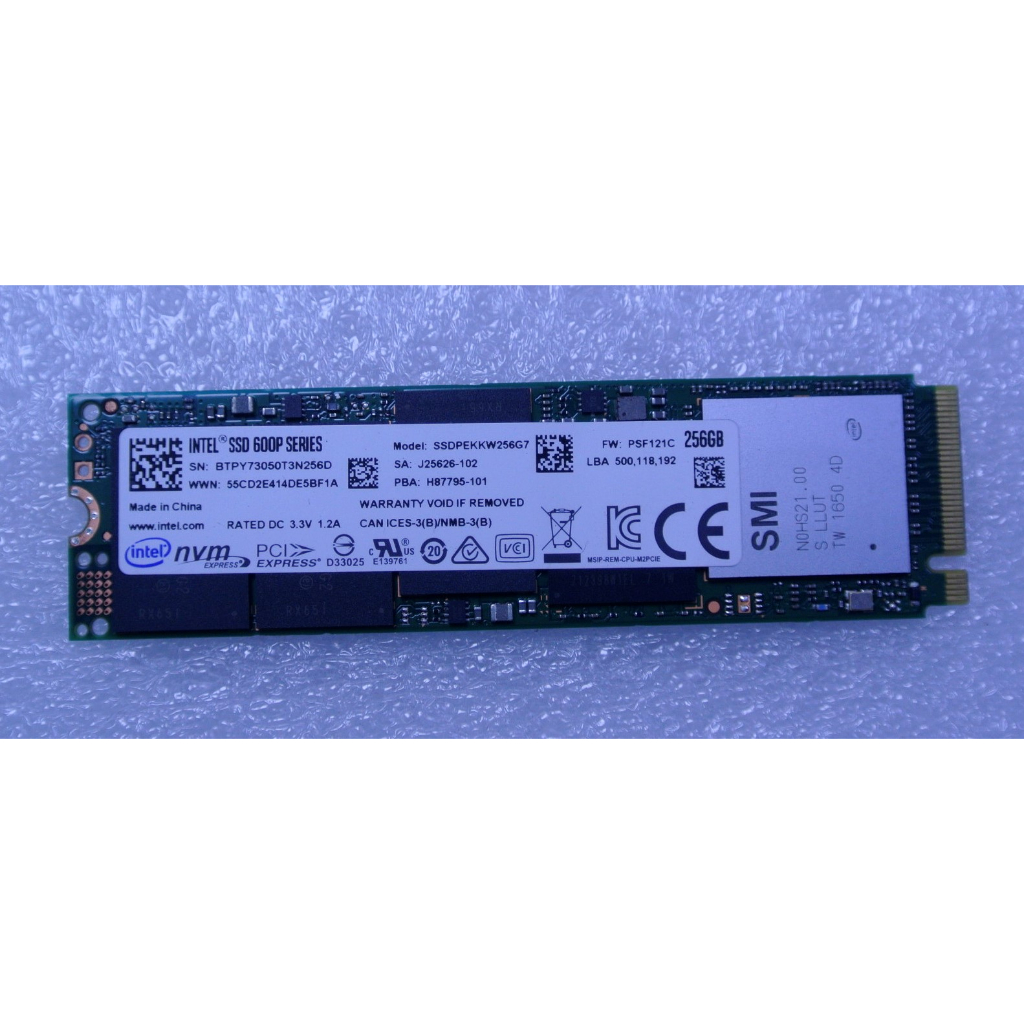 立騰科技電腦 ~ Intel 600P Series M.2 SSD 256GB (SSDPEKKW256G7)