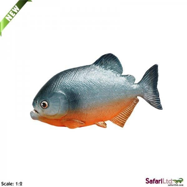 動物模型 Safari 食人魚