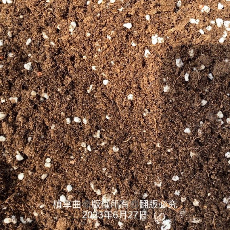 植享曲  資材  植物專用高級泥炭土