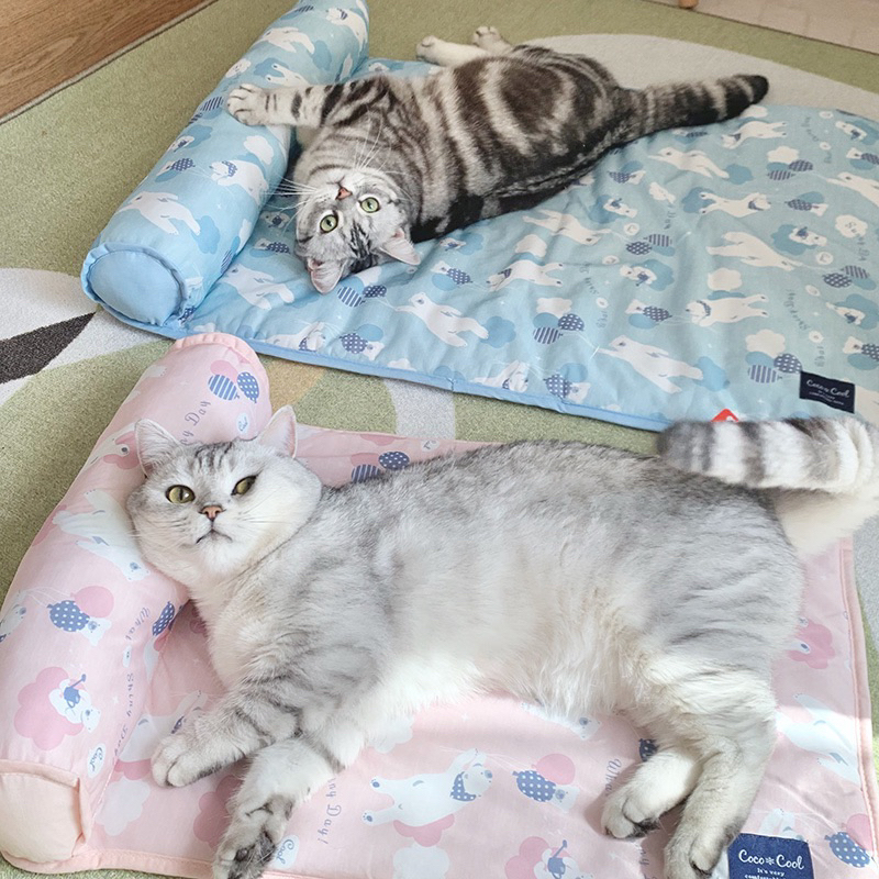 ⭐️限時特價⭐️台灣現貨 出口日本 寵物涼墊 涼感睡墊 冰絲涼窩 涼床 睡床 窩 接觸冷感面料 狗窩 狗床 寵物窩