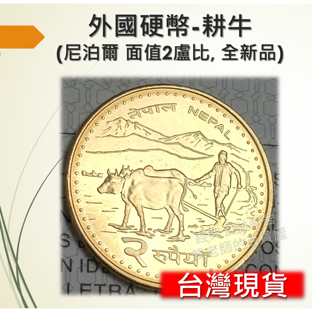 (現貨) 耕牛紀念幣 尼泊爾 全新品 硬幣 紀念幣 收藏 牛 動物 亞洲 外國硬幣