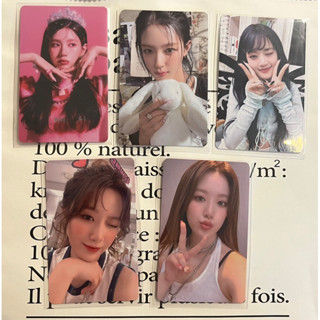 (G)I-DLE 迷你六輯 I feel 小卡 薇娟 Minnie 舒華 Kms特典