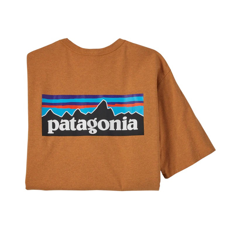 Patagonia 男款 P-6 Logo Responsibili-Tee 短袖 L號