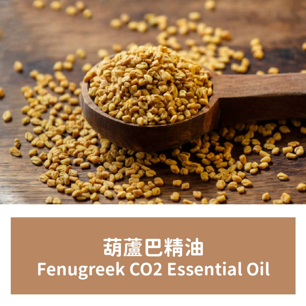 【馥靖精油】葫蘆巴精油 Fenugreek CO2 Essential Oil