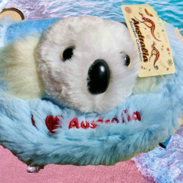 無尾熊 澳洲 袋鼠 拉鍊 娃娃 絨布 動物 零錢包 絨毛 錢包