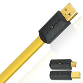 (當天寄出) 響樂－音響｜美國 WIREWORLD - Chroma 8 - USB 2.0 數位線 Micro B