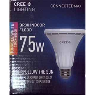 便宜買 美國CREE 75W 黃光燈泡
