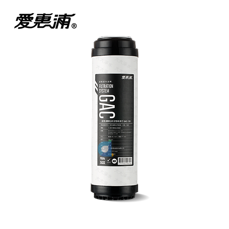 台灣愛惠浦EVERPURE GAC-100 10英吋標準型顆粒狀活性碳 GAC100 大大淨水