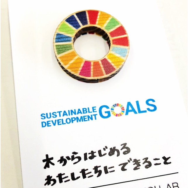 (日本製)聯合國17項永續發展目標(SDGs)木製 彩虹胸針 別針 徽章 宴會 圍巾別針 衣服翻領別針