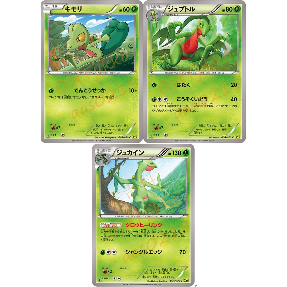 🌸老吉科🍀 Pokémon TCG PTCG 日版絕版XY系列 一刷 XY5 木守宮 森林蜥蜴 蜥蜴王 寶可夢卡牌