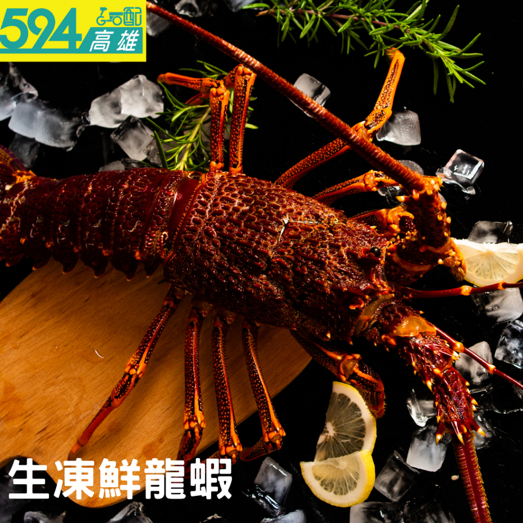高雄594-生凍鮮龍蝦 (限高雄地區下單)
