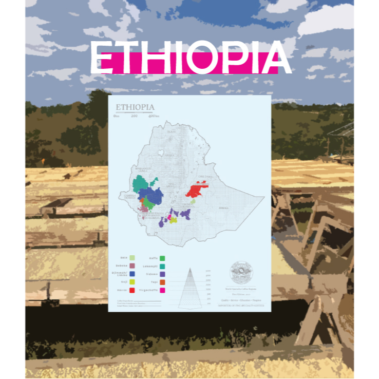 莉普森【咖啡生豆】2023新產季■衣索比亞 水洗 耶珈雪啡 亞妲玫 G1