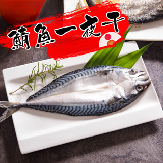 【鮮綠生活~免運費】挪威鯖魚一夜幹175g(整尾蝴蝶切) 買16送16共32包
