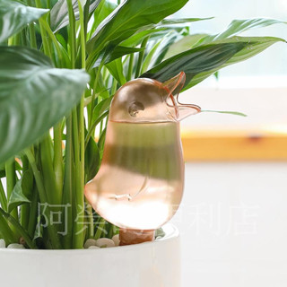 創意小鳥造型自動澆水器 可愛透明懶人澆花器 創意自動滴水器
